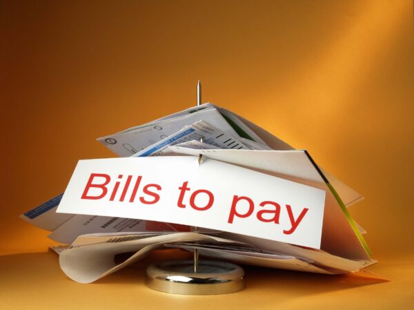 Adopt my Monthly Utility Bills⚡ (Recurring)